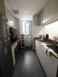 The Gazania (D19), Condominium #477058251